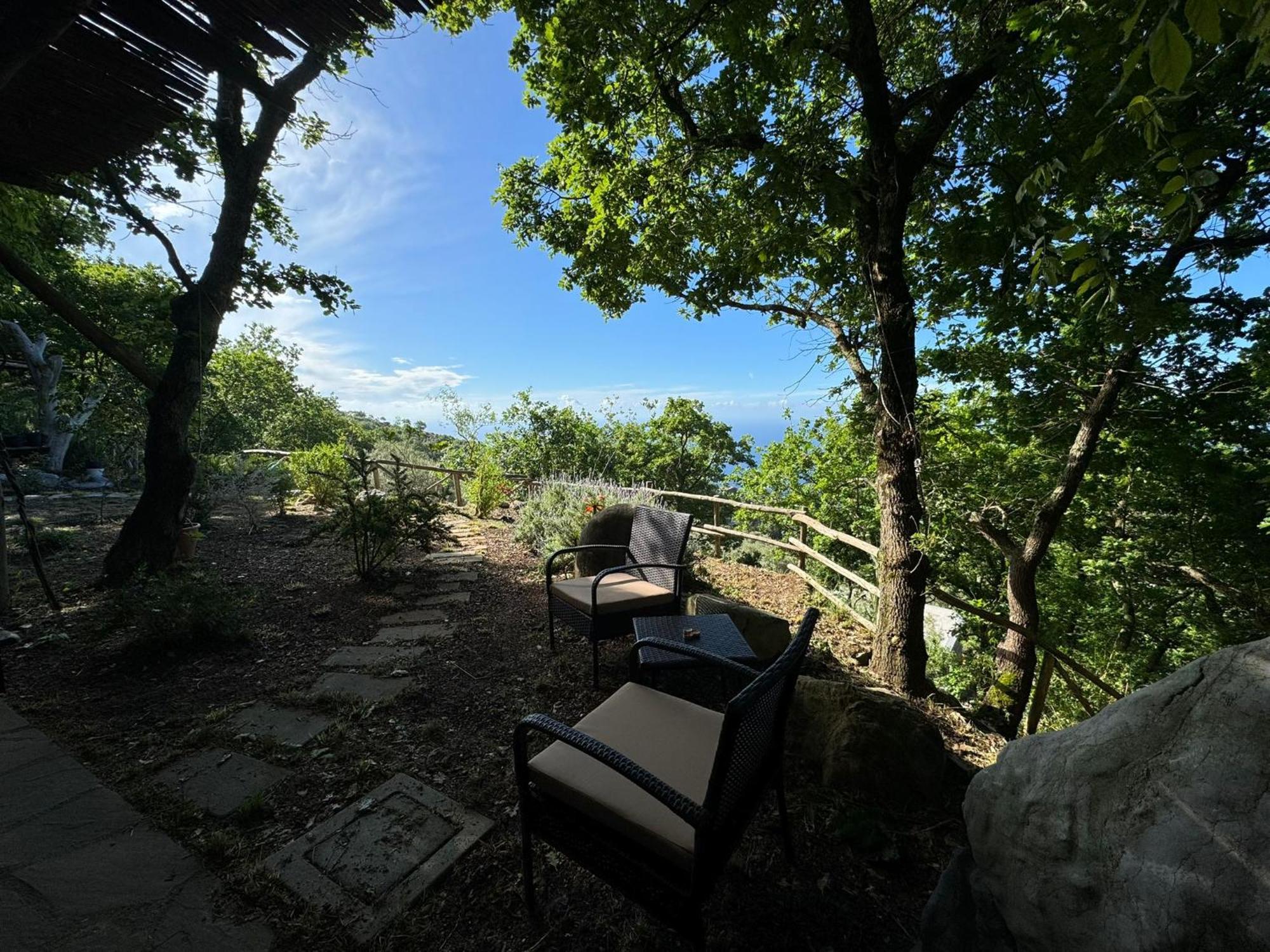 Bed and Breakfast Groove'N'Grove SantʼAgata sui Due Golfi Esterno foto