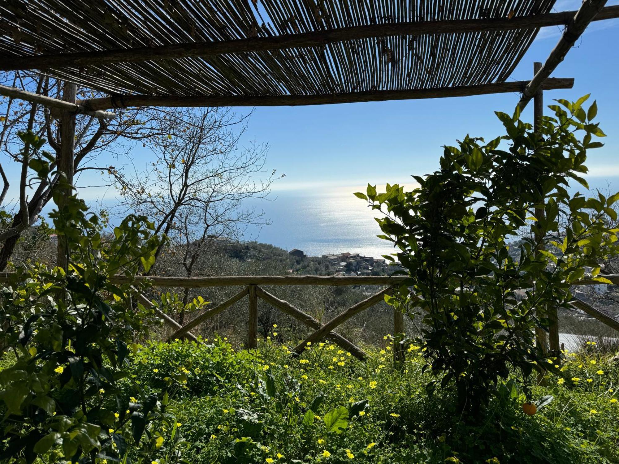 Bed and Breakfast Groove'N'Grove SantʼAgata sui Due Golfi Esterno foto