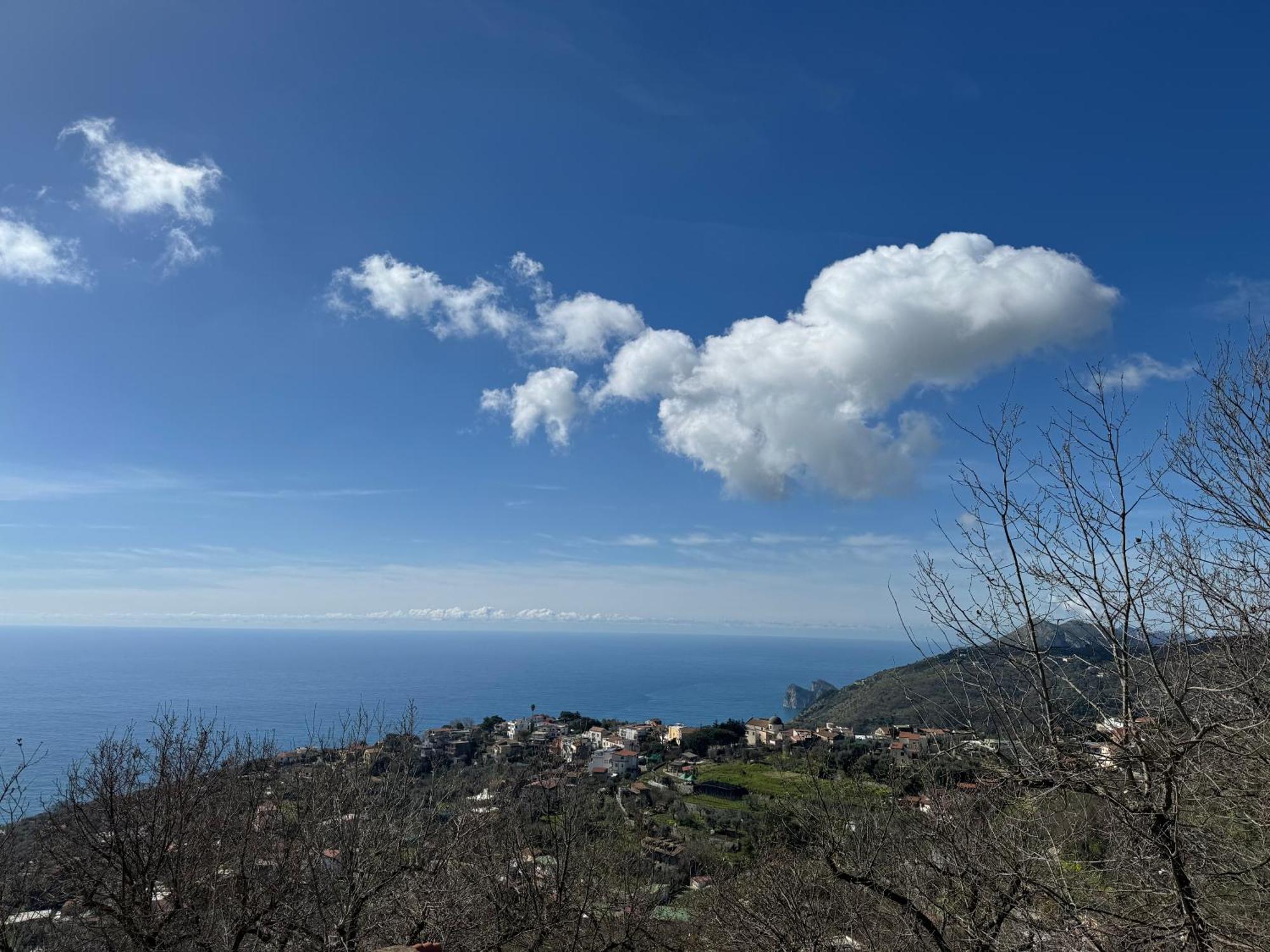 Bed and Breakfast Groove'N'Grove SantʼAgata sui Due Golfi Esterno foto
